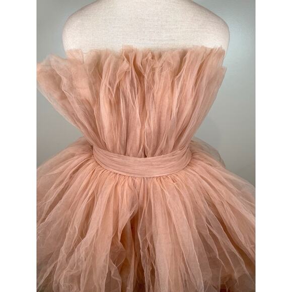 Bronx and Banco Anna Pink Tiered Tulle Maxi Dress Size Medium - Picture 7 of 16